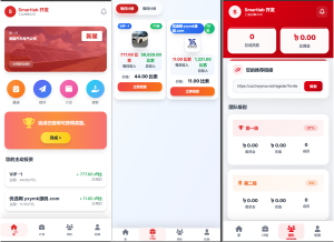 海外汽车电气投资理财源码/三级分销/可自定义产品-网站源码网