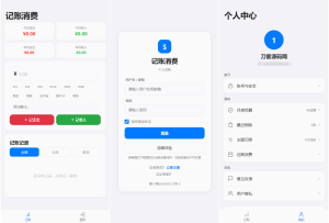 个人记账系统源码 消费记账管理系统-网站源码网