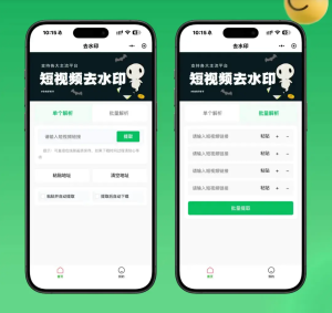 2026最新去水印小程序源码 v1.6.5 带流量主-网站源码网