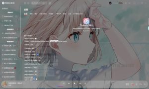 电脑PC 网易云音乐 皮肤插件 免安装-网站源码网