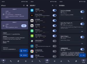 全新安卓Root工具-APatch v10474-网站源码网