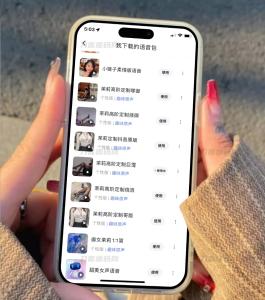最近比较火的某度导航语音包全套-网站源码网